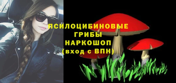 бошки Корсаков