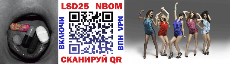 блэк спрут вход  где можно купить наркотик  Курчалой  LSD-25 экстази кислота 