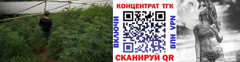ТГК вейп  МЕГА сайт  Курчалой 