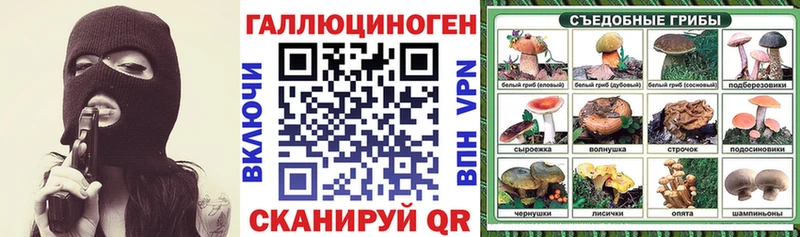 Галлюциногенные грибы Psilocybe  где найти наркотики  блэк спрут ТОР  Курчалой 